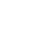 emotional intelligence (1)