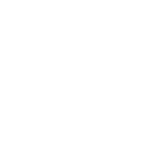 escudo de seguridad (1)